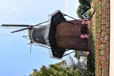 第40回つつじ・ゆめ風車まつりin TOSOH PARK 永源山