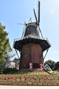 X3N4qj49bYUBnrX9JYnT.JPG?w=940&h=940