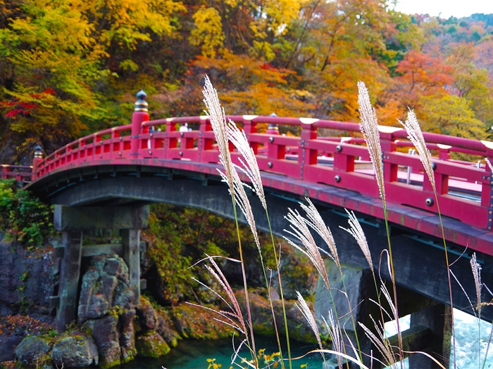 山も寺も、すべてが秋色のキャンバスに