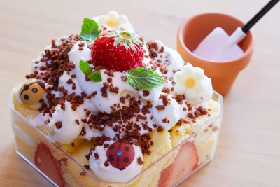 X5stjfnoa2E3uz3wgx5Q.jpg?w=940&h=940