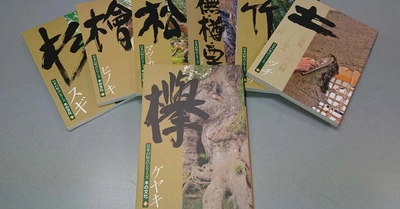 「note」にあたらしい記事を投稿しました。ロングセラー『日本の原点シリーズ 木の文化』より『欅（けやき）』のご紹介