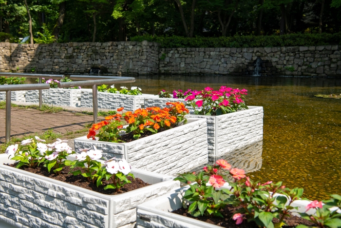 石垣壁泉水中花壇(昨年の様子)