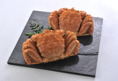 X6JBRxjUkCYQISJpWXTj.jpg?w=940&h=940