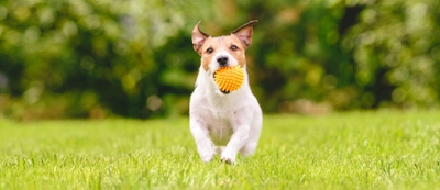 X6lYiYdefywzfIFWneUl.jpeg?w=940&h=940