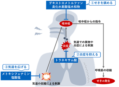 X6uSG2aDsjfZkDmqdbJO.png?w=940&h=940