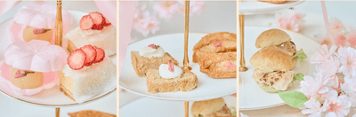 X7KZMz7iuzjn8KP67iSj.png?w=940&h=940