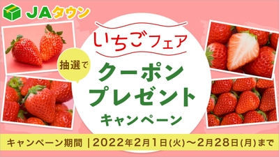 X9Fx1Tsjio1llsJXor8b.jpg?w=940&h=940