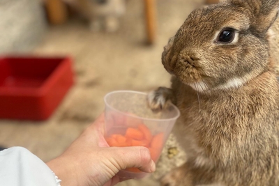 X9QLA0XPbVbrOei022Y3.jpg?w=940&h=940