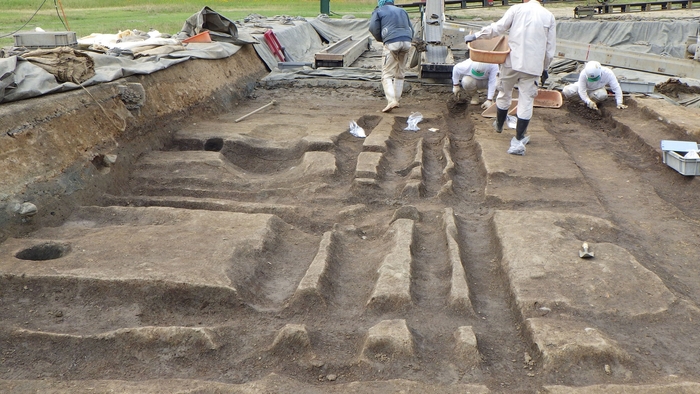 図2上 検出されたミゾミゾ 小溝群A。無数に検出されるため、早急に記録し掘り下げていく。飛鳥藤原第210次、2022年。東から。