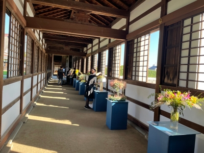 XAJSiDvU6u43aLBSpxnx.jpg?w=940&h=940