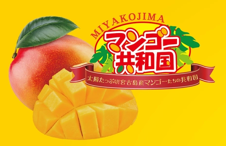 宮古島にマンゴーの季節到来！年に一度現れる幻の「マンゴー共和国」とは？！