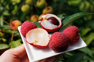 XCcVpzBKQrxe9JnmOIGR.jpg?w=940&h=940