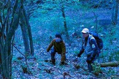 XDTzBWUcK2C4everEbyq.jpg?w=940&h=940