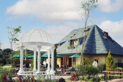 XEXyDknrxbd5akx1IUZ2.jpg?w=940&h=940