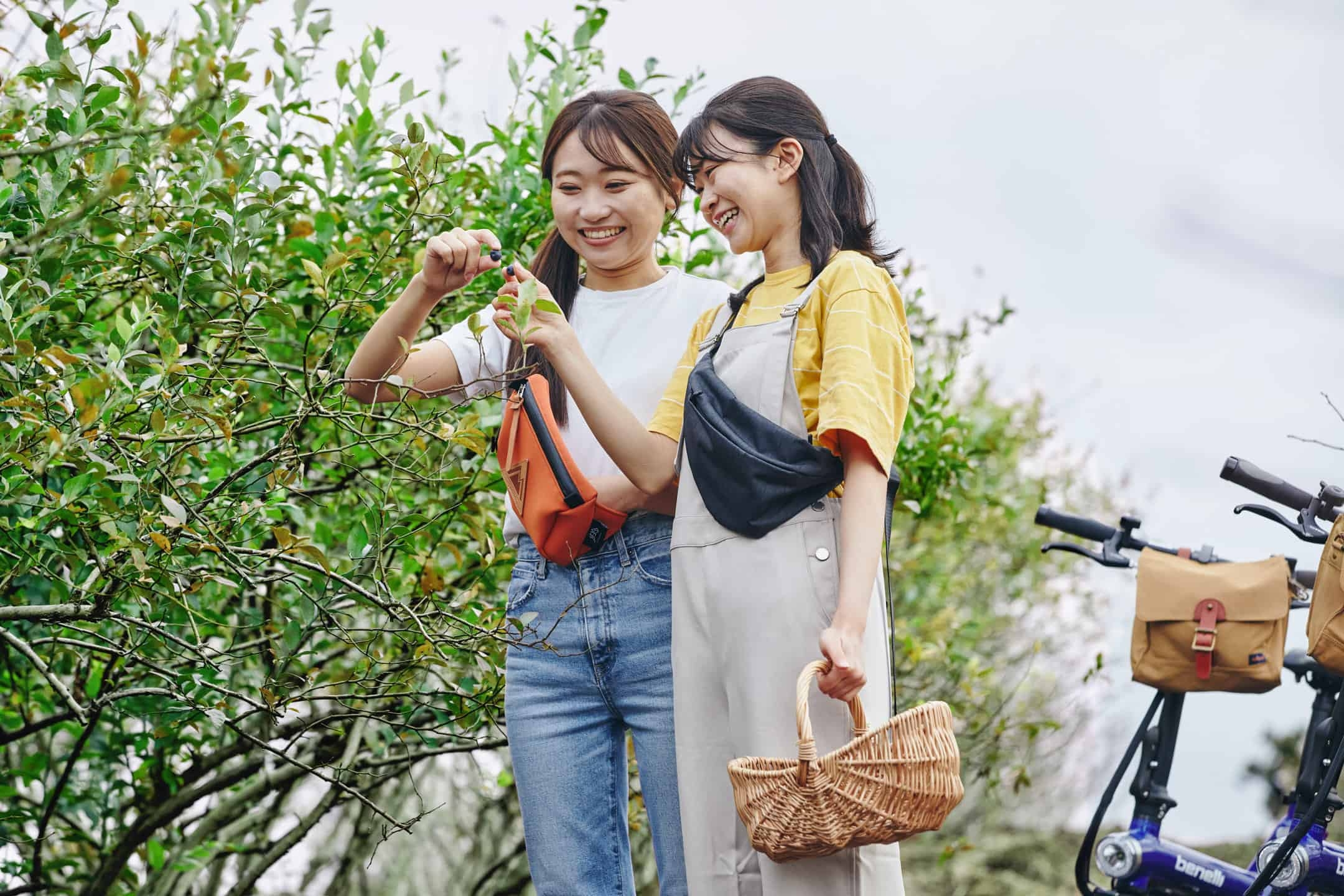 【BEB5土浦】早朝のサイクリングと旬のブルーベリーを楽しむ「朝活ブルーベリーサイクリング」開催|期間:2022年7月20日〜8月20日