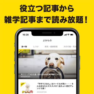 XFE6r7qeUke8AAc5x8iR.png?w=940&h=940