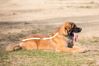 XFUj5UsLH9jAwiydxHQJ.jpeg?w=940&h=940