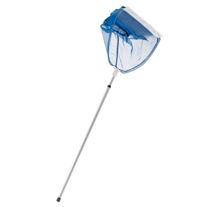 XFUkBxvqEYG9OgJSN4qI.jpg?w=940&h=940