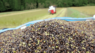 XGaaCOsFcZCiQfLzGdU9.png?w=940&h=940