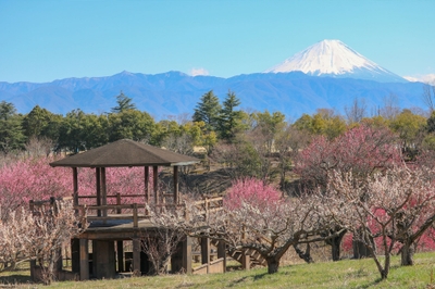 XHE8aQP4InAhcEZUyniA.jpg?w=940&h=940