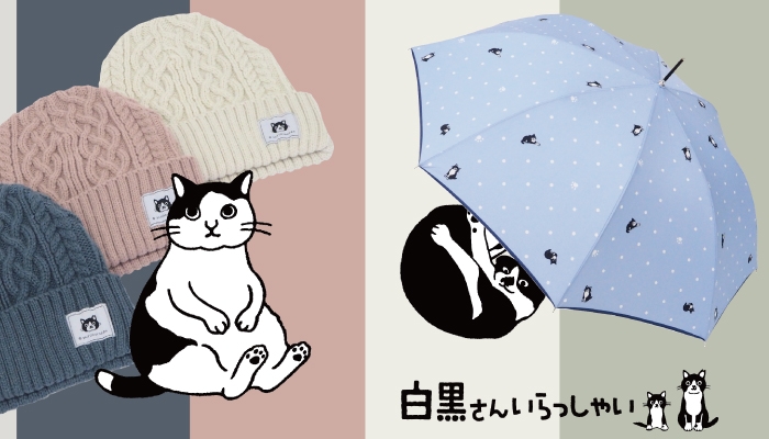 専用出品。猫だんしゃく様。 楽天市場】猫じゃらし付き レーザーポインター 猫用 おもちゃ 柄