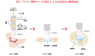 XHY0BIaCkZc49CFXXsKF.png?w=940&h=940