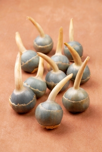 XHv5wdYHhKb98D6r14mN.jpg?w=940&h=940