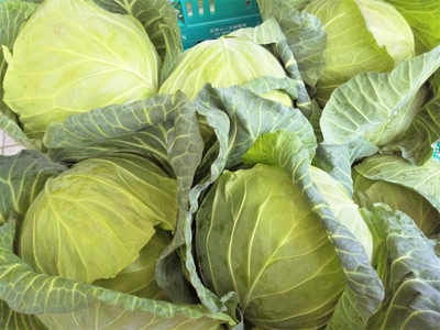 XJ1xxkM5G7o7cEpOEszu.jpg?w=940&h=940