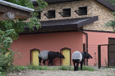 XJ6aUPhieTkIno9YlyxZ.jpg?w=940&h=940