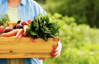 XJSXTzQGBEOvguutqpux.png?w=940&h=940