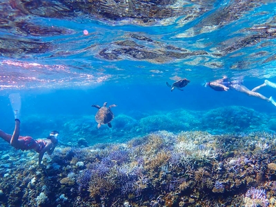 XJl00QZPREdpinqNd5nj.jpg?w=940&h=940