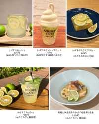 香り、酸味、甘みの三拍子揃った名脇役！！ 全農グループ飲食店舗で「大分県産かぼすフェア」 １０月４日（土）・５日（日）に開催