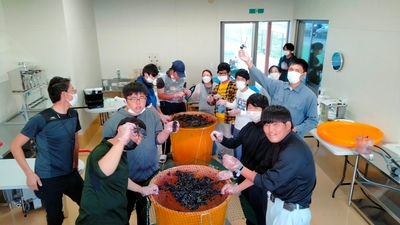 XL7MUtNMHK7Wp1nI8rZ3.jpg?w=940&h=940