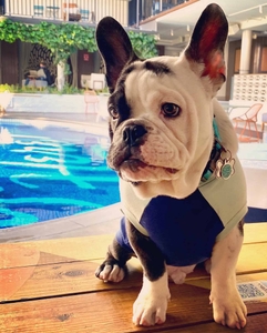 XLeplbrkiwQGB0ZjxxEc.jpg?w=940&h=940