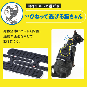 XM01elcNp9kJyRrDI6OA.png?w=940&h=940