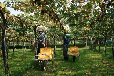 XOsMBMb5wq9arsAb7EhQ.jpg?w=940&h=940