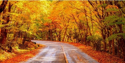 XQAP4TkfDsa5YqSXBlWo.jpg?w=940&h=940