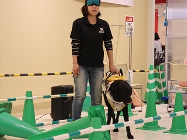 XQpA4OfnTcUj2whbc45g.jpg?w=940&h=940