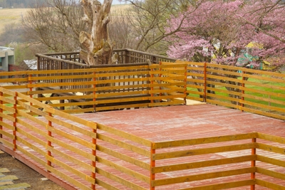 XRgw6X8PXbxaanyg2kun.jpg?w=940&h=940