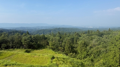 XSZeygwQg8KT4Di8HeMa.jpg?w=940&h=940