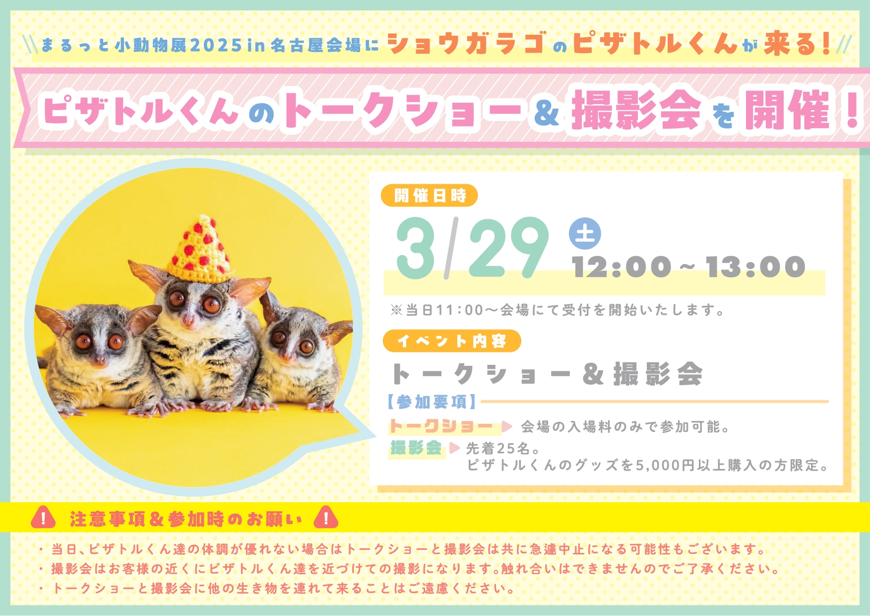 ショウガラゴのピザトルくん特別イベント開催!