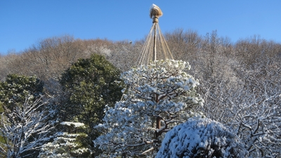 昨年開催時の園内の景色