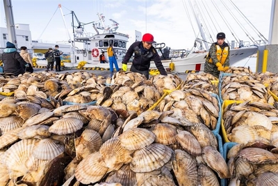 XVeVjgbDsoiwmWDjMdOA.jpg?w=940&h=940