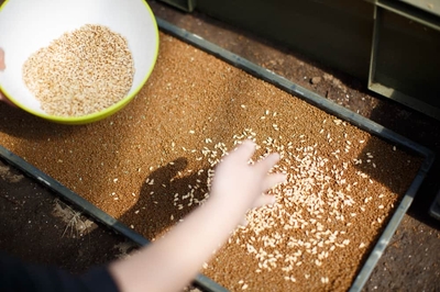 XW0J4szjimhhwQPnoHB5.jpeg?w=940&h=940