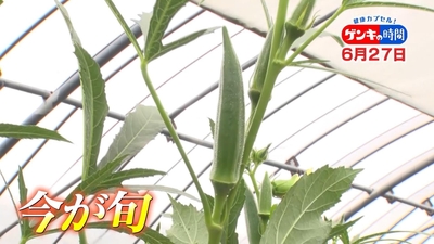 XWwH3cl6PFbot7D3D44M.jpg?w=940&h=940