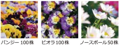 XWz4KdnE1lRBdh4hWVyN.jpg?w=940&h=940