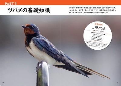 XX5lcpWDEYX7Qz09PDjb.jpg?w=940&h=940