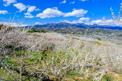 XXfnqUbNHcbUTi6vKHf1.jpg?w=940&h=940