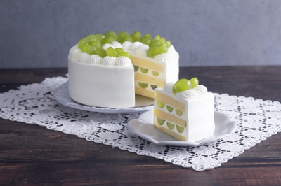 XYJPsgwgH235aStiP4OR.jpg?w=940&h=940