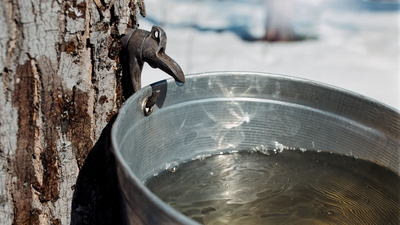 XYRwI5g7kjI1taossIdZ.jpg?w=940&h=940